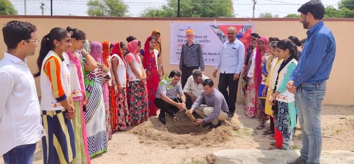 TREE PLANTATION